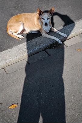 Straßenszene | street scene